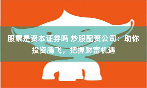 股票是资本证券吗 炒股配资公司：助你投资腾飞，把握财富机遇