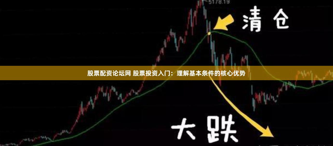 股票配资论坛网 股票投资入门：理解基本条件的核心优势